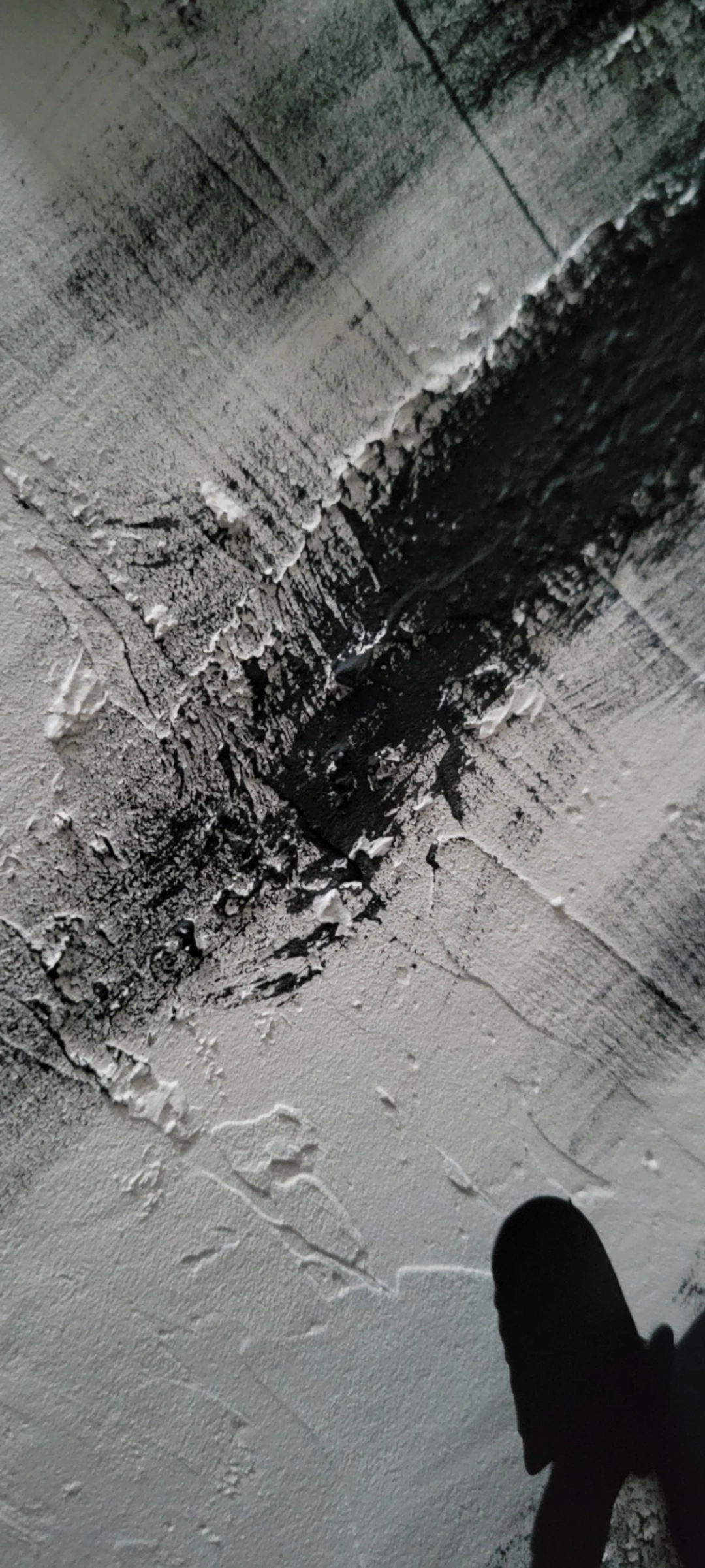 "Languish and Rebound" ( SET each 75x70cm )
