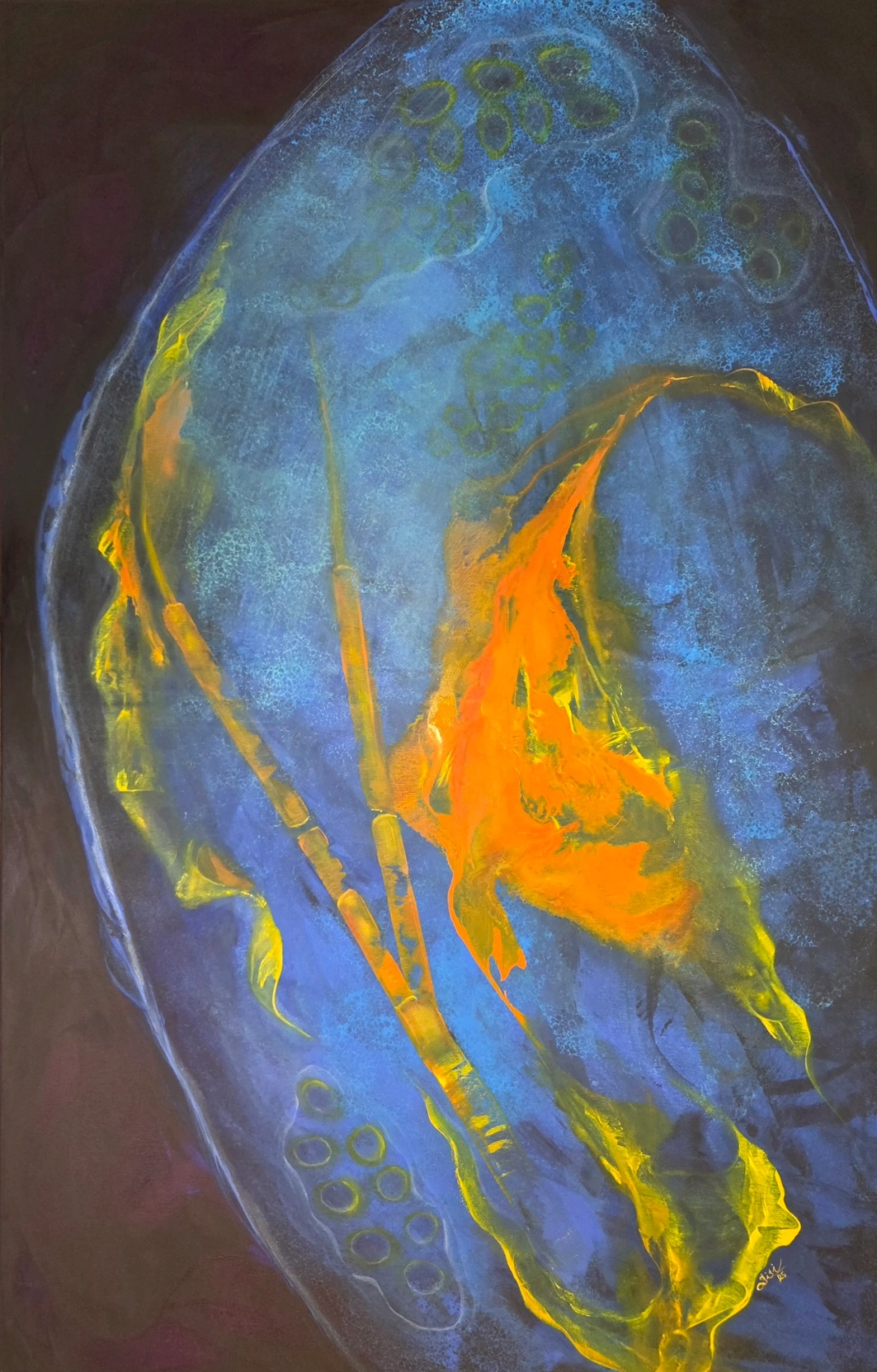 Anatomie hlubin, série PELAGIA by Silvie Kořistková