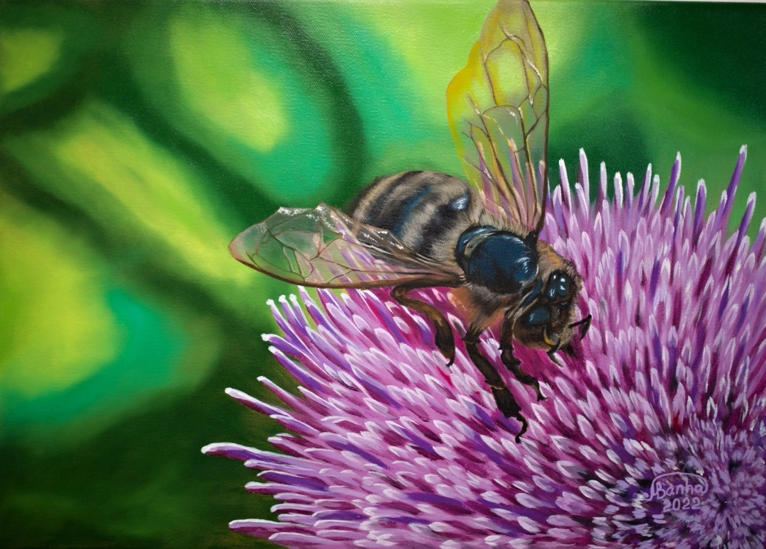 Včela na květu – olejomalba na plátně 70 × 50 cm by Marija Banha