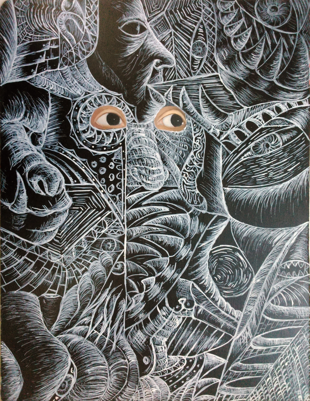Eyes by Hynek Bařák