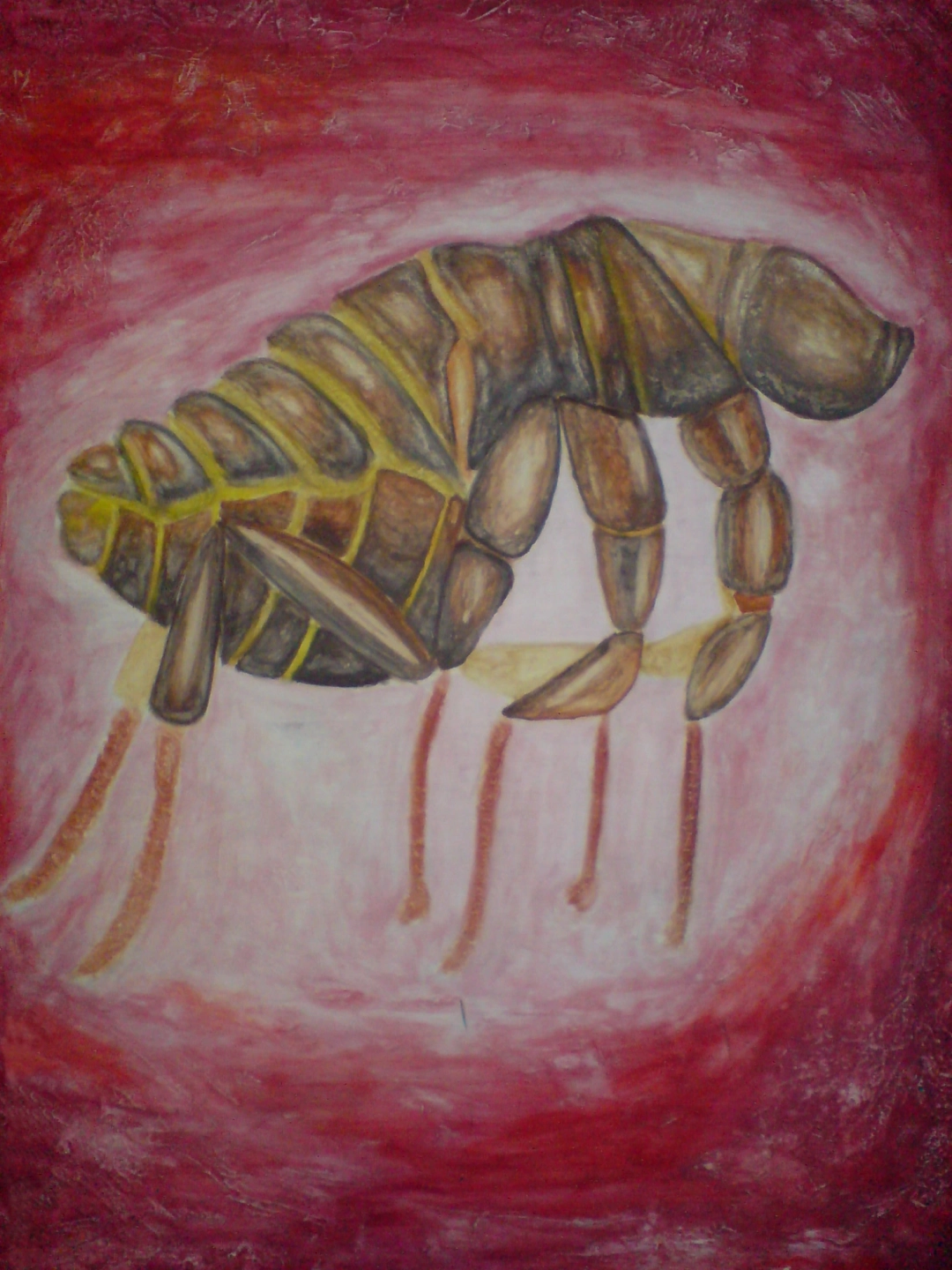 Flea by Hynek Bařák