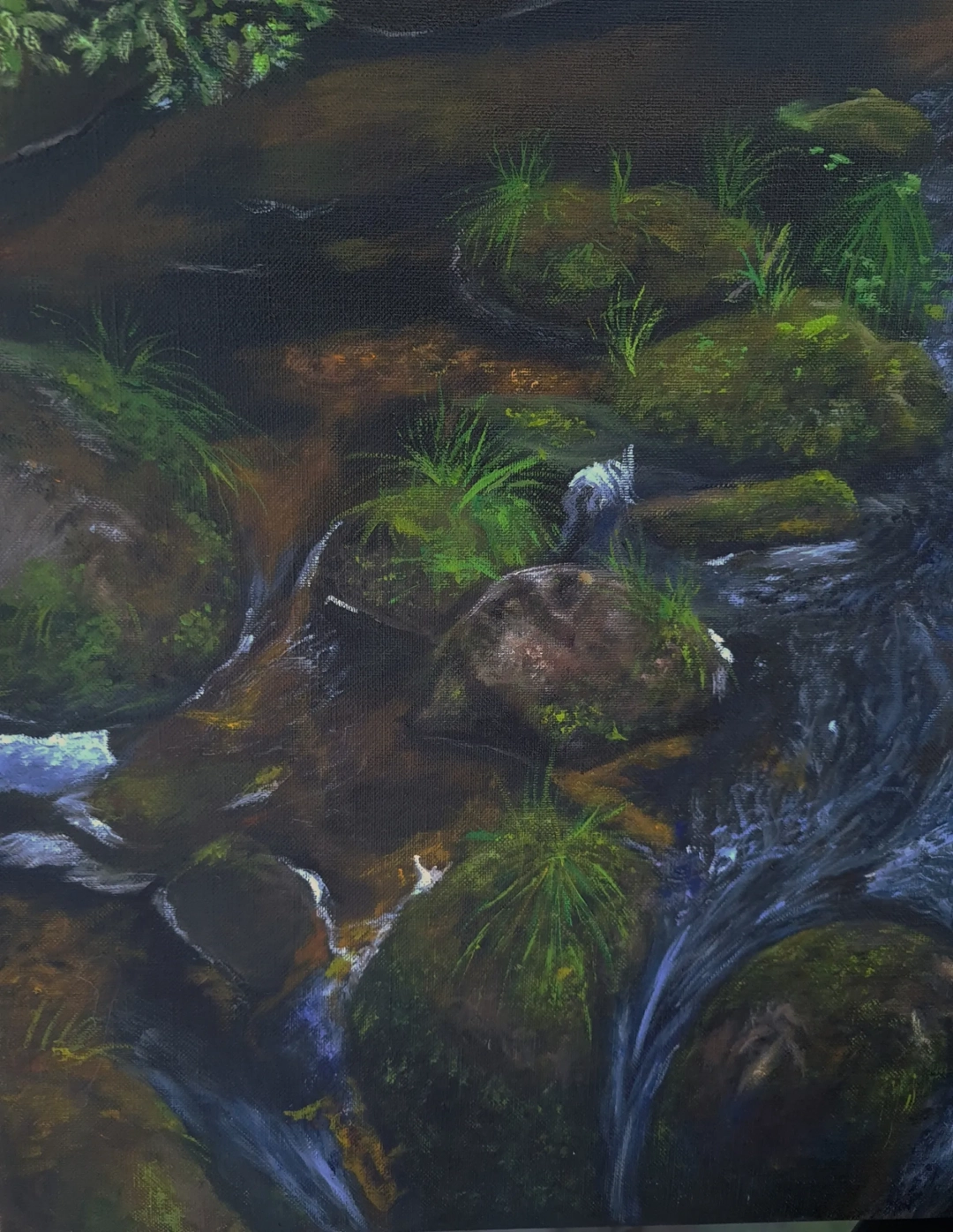 Forest River
