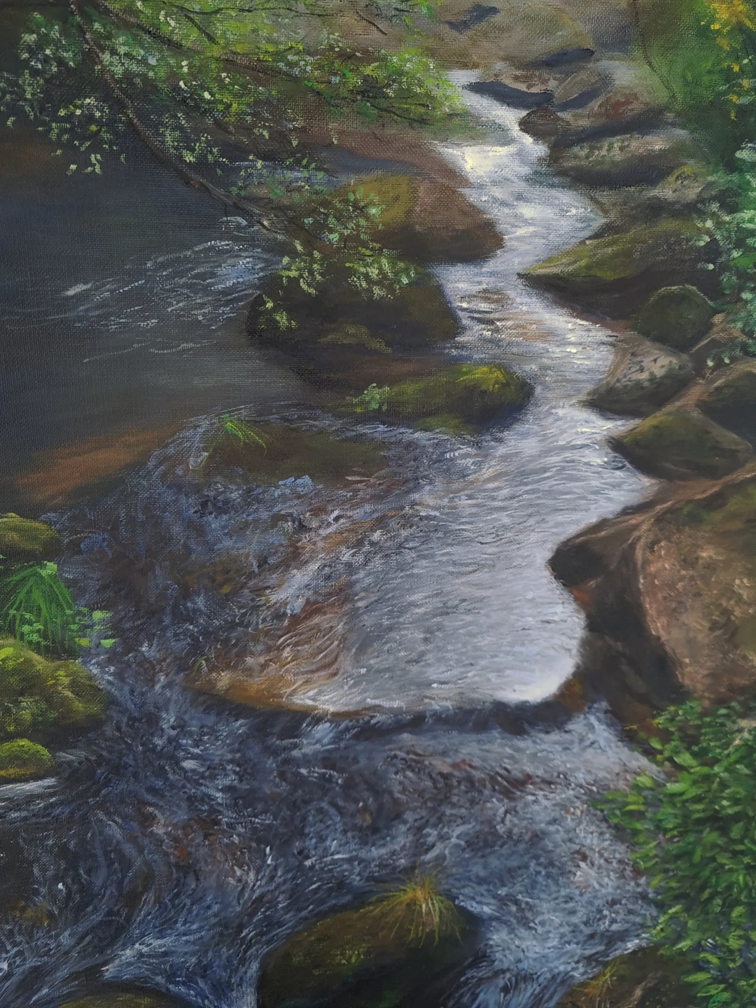 Forest River