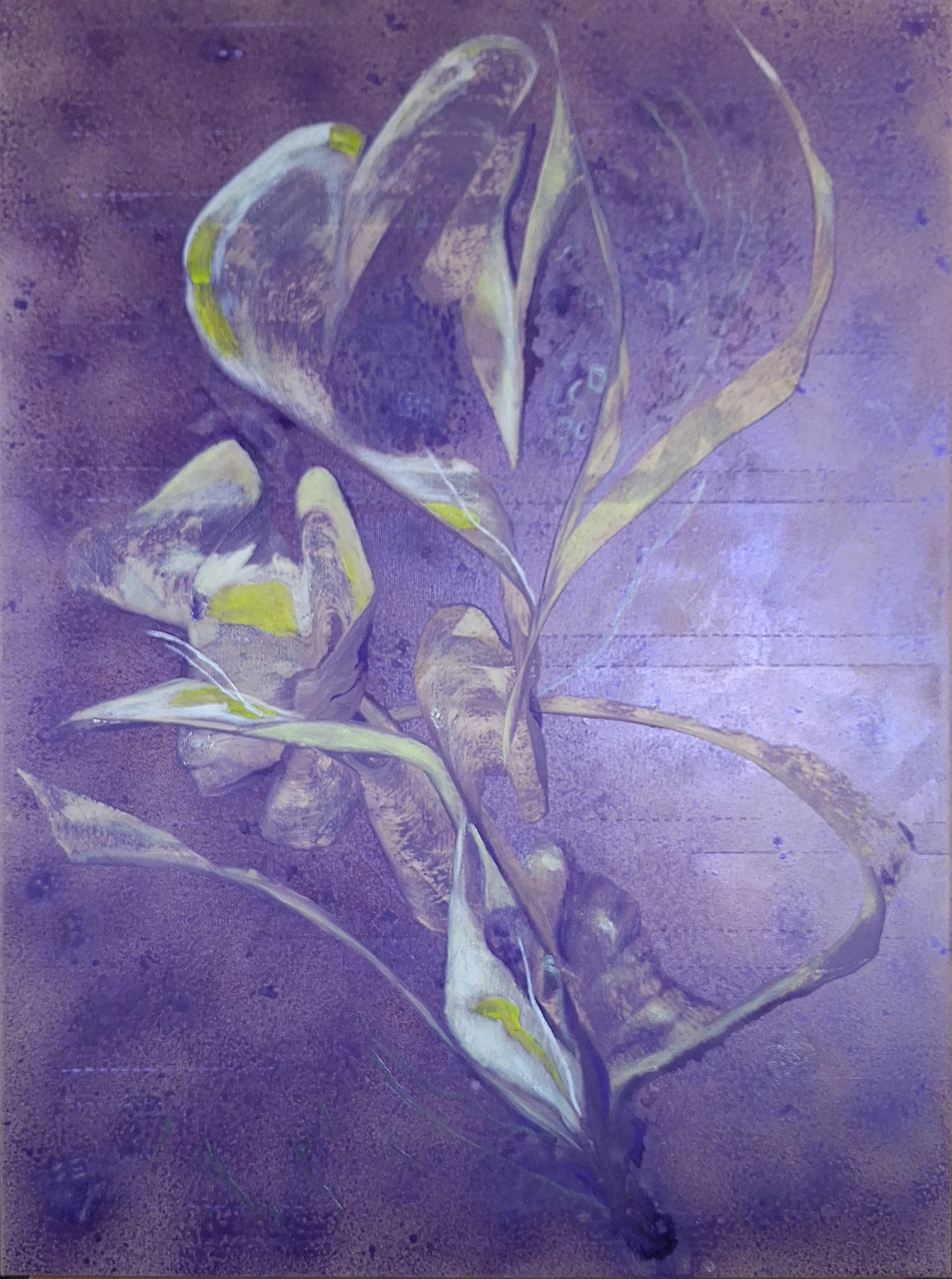 Rostoucí zvědavost  by Aika Hladíková